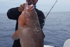 Braggin' Board Photo: Grouper Fishing