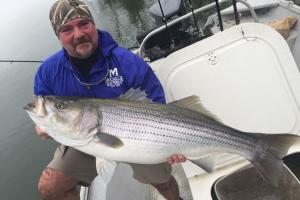 Braggin' Board Photo: Big Striper Bass