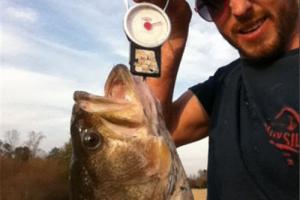 Braggin' Board Photo: Big Bass