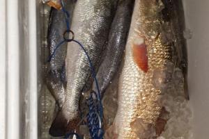 Braggin' Board Photo: trout and redfish