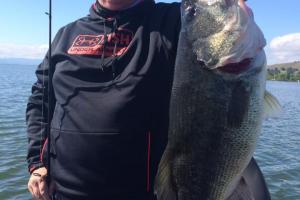 Braggin' Board Photo: 8 lb Bass