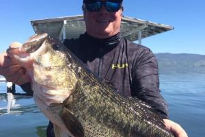 Braggin' Board Photo: Nice Largemouth