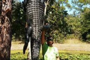 Braggin' Board Photo: Gator over 14 Feet!