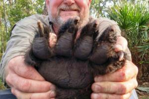 Braggin' Board Photo: Trophy Black Bear