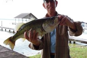Braggin' Board Photo: 6.5 lb 24.5 inch Largemouth Bass