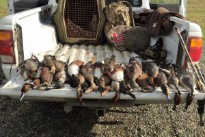 Braggin' Board Photo: My son Scott's first Ducks