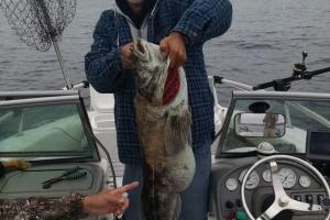 Braggin' Board Photo: Check Out This Catch! Lingcod