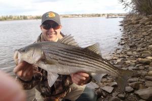 Braggin' Board Photo: Marcel's Striper Bass