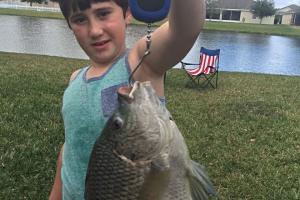 Braggin' Board Photo: 4.5 lb Tilapia in our yard!