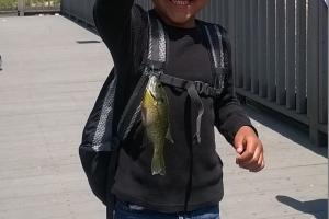 Braggin' Board Photo: First Panfish!