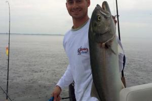 Braggin' Board Photo: Saltwater Bluefish