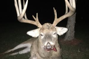 Braggin' Board Photo: This is why I hunt - My buck