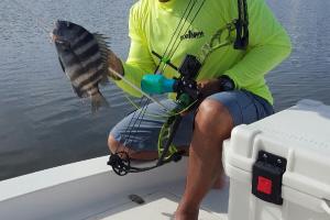 Braggin' Board Photo: Bow fishing Sheepshead with Captain Ike