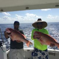 Catching Red Snapper