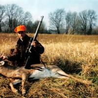 Gun Season Buck