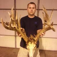 Kansas Skull Deer