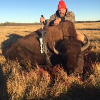 Bison 2018