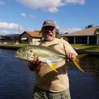 Jacks Crevalle Jack - Florida Fishing