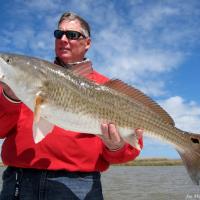 Redfish Cajunryanredfish