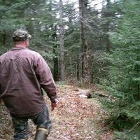 Buck Down