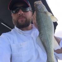 Pueblo Walleye