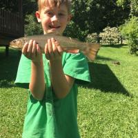 Turkey River Trout