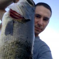 Nice Bass Mike