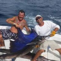 Sailfish