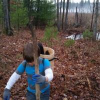 packing out beaver