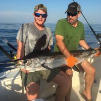 Marlin