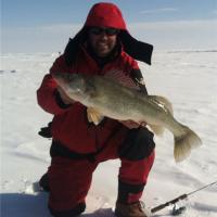 Ice Fishing Walleye