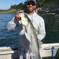 Nice Striper Bass
