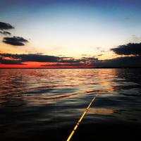 Beautiful Sunset