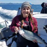 Salmon