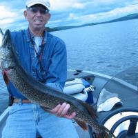 36 inch, 10 lb  Pike