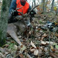 9 point buck