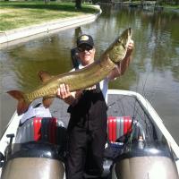 20 lb Musky