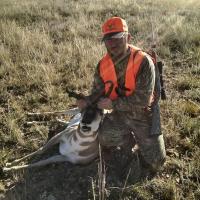 Pronghorn