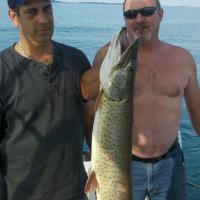 Nice Muskie