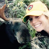 Maine Moose Hunt