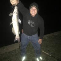 Long Catfish