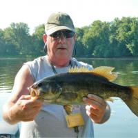 Catching some nice river bass