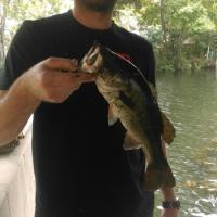 Spring Bass Fishing