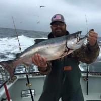 Success at catching Sea-bass