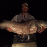 57lb blue Catfish