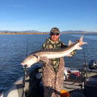 52 inch sturgeon