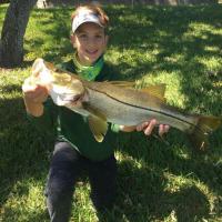 Nice Snook
