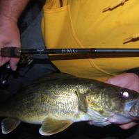 Night Time River Walleye