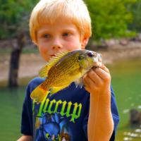 Redeye Bass at Watauga