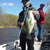 Kenny's Crappie